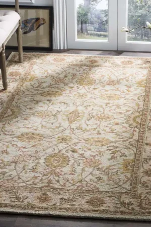 Budget Antiquity 17 Rug | Safavieh - AT17