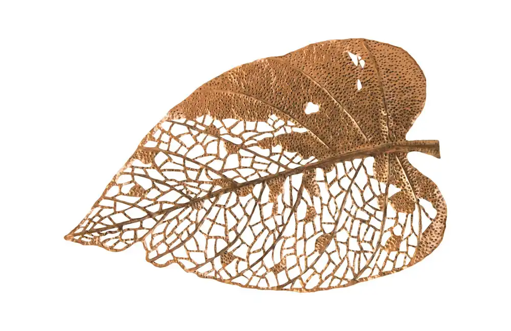 Birch Leaf Wall Art, Copper, Xl | Phillips Collection - TH85854 Trusted Brand