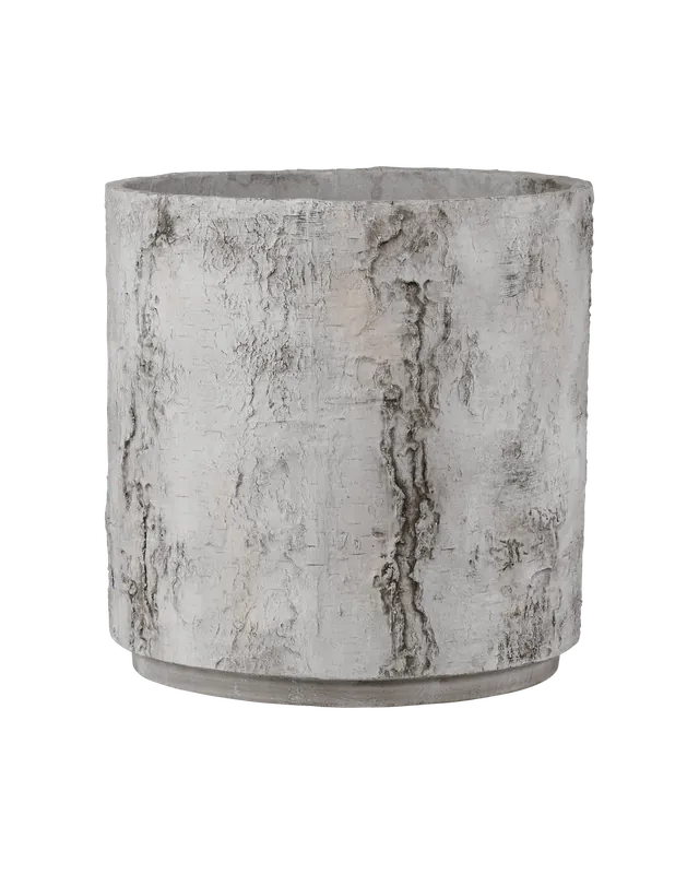 Don’t Miss Out Faux Birch Small Planter - Grey | Currey & Co - 2200-0055