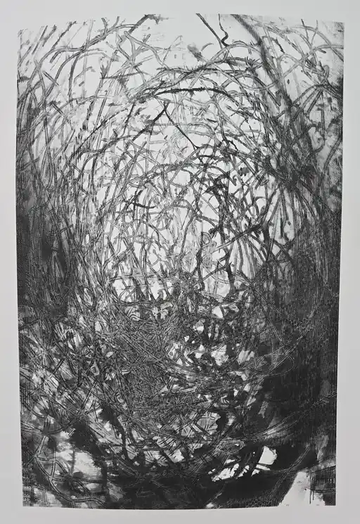 ▷ Tempete magnetique by Teurk, 2025 | Screen print Modern