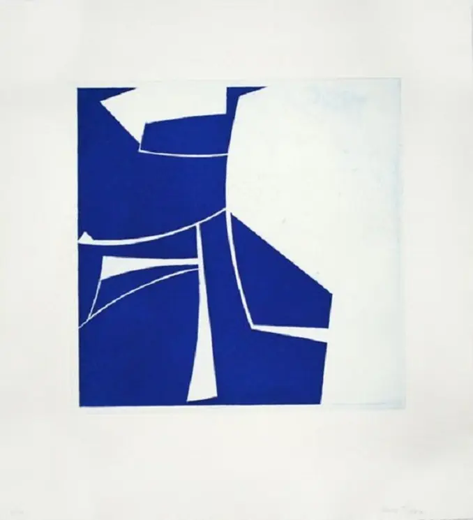 ▷ Covers 2 Cobalt by Joanne Freeman, 2017 | aquatint Print Buy Direct