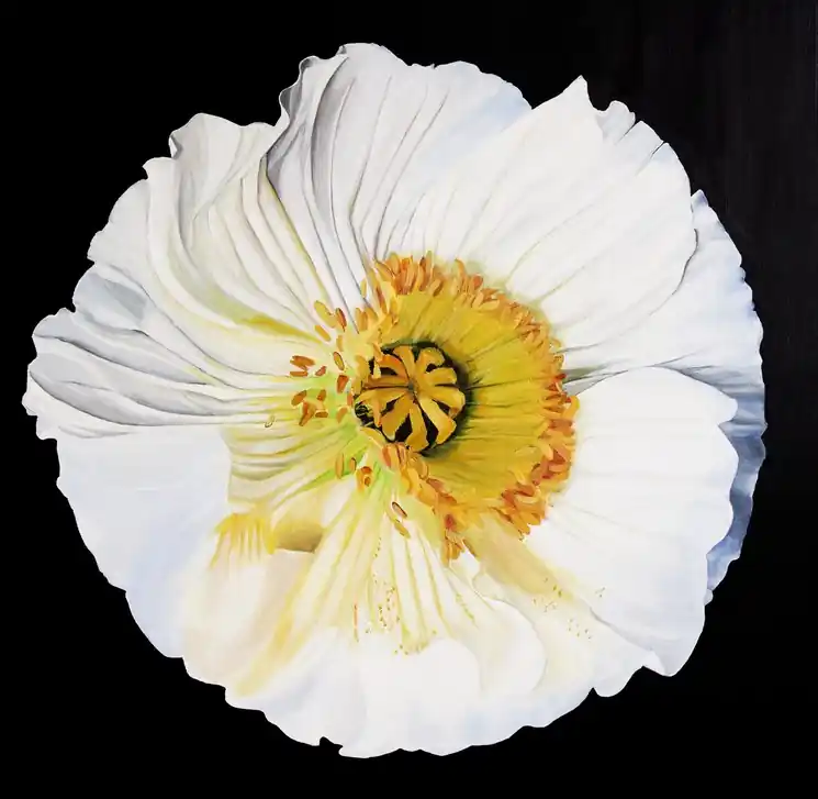 ▷ White poppy on a black background by Svetlana Saratova, 2022 | Acrylic Painting Limited Edition