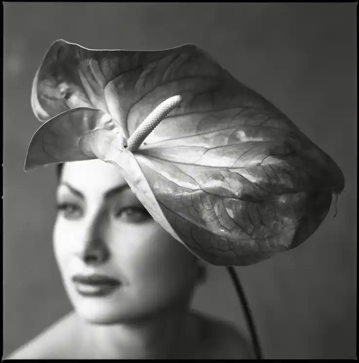 Free Returns ▷ Anthurium Beauty by Mark Arbeit, 1992 | archival pigment print