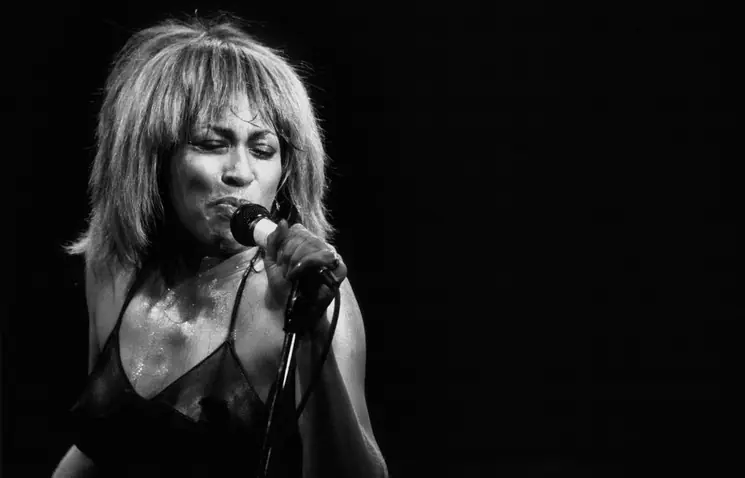 ▷ Tina 1986 - Dave Hogan Signed Limited Edition by Dave Hogan, 1986 | Paper Print Certified