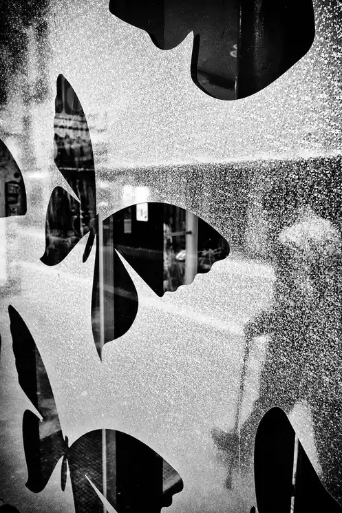 ▷ Butterfly in Paris by Jean-François Levere, 2023 | archival pigment print Popular