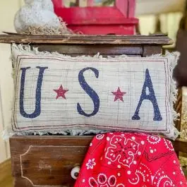 Americana Country USA Accent Pillow Special Discount