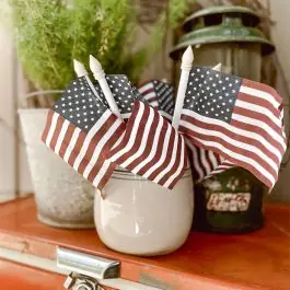 Sale American Flag Picks Set of 3