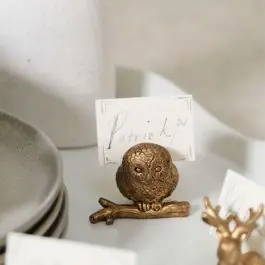 Bulk Order Woodland Critter Owl Place Card Holder Set of 6