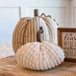 Genuine Decorative Pumpkin 5 Inch