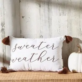 Sweater Weather Tasseled Accent Pillow Low Price
