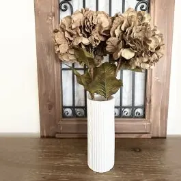 Beautiful Two Toned Fall Hydrangea Bundle Limited Time
